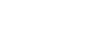 Logo Les Secrets d'Emilie - lessecretsdemilie.fr